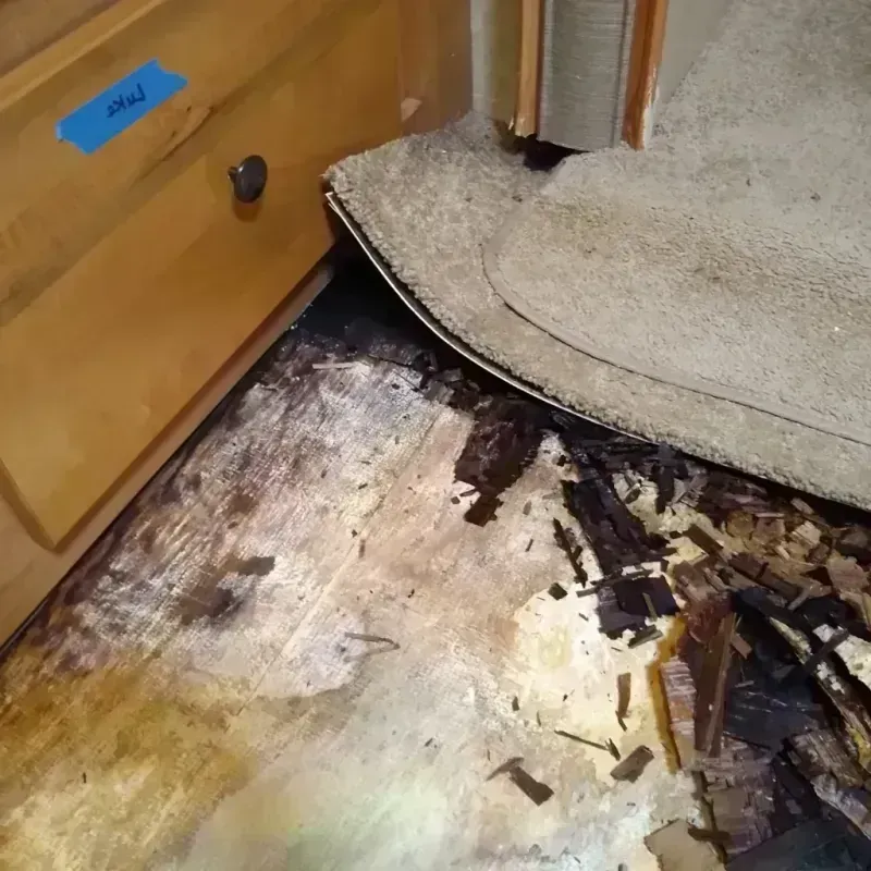 Wood Floor Water Damage in Waretown, NJ